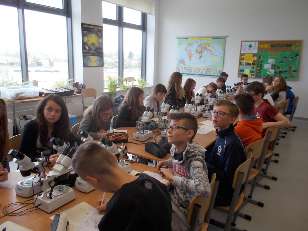 warsztaty1_15