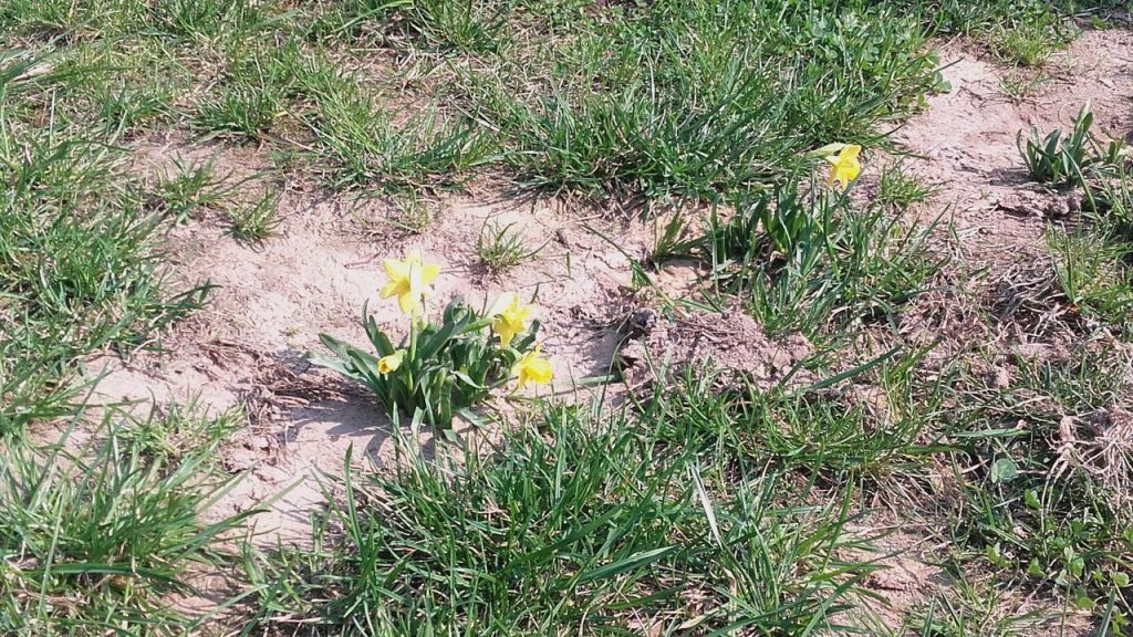 20170403_105255