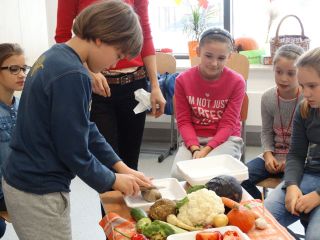 zdjęcie do artykułu: Zajęcia ekologiczne dla klas III