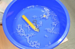 zdjęcie do artykułu: Nasze gimnazjalne ANDRZEJKI