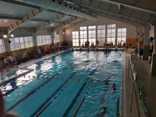 zdjęcie do artykułu: Wspaniały występ naszych pływaków !!!