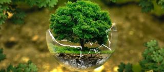 zdjęcie do artykułu: Działania ekologiczne w naszej szkole - podsumowanie zbiórki makulatury