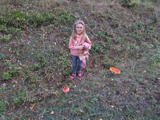 20241008_104239_copy_800x600