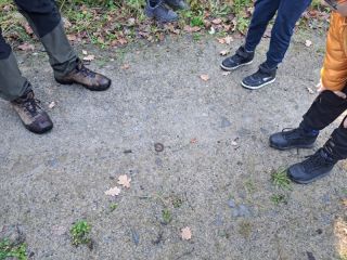 20241008_111054_copy_800x600