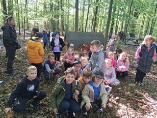 20241008_111729_copy_800x600