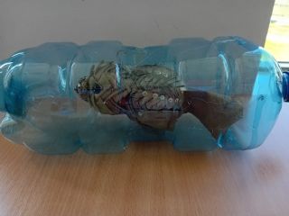 20240509_092440_copy_1024x768