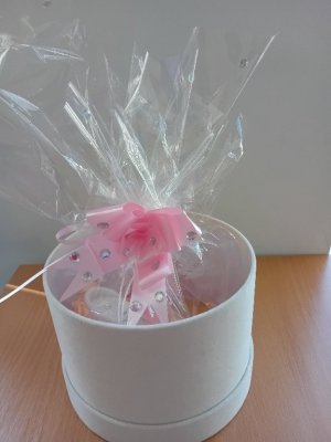 20240509_092617_copy_576x768