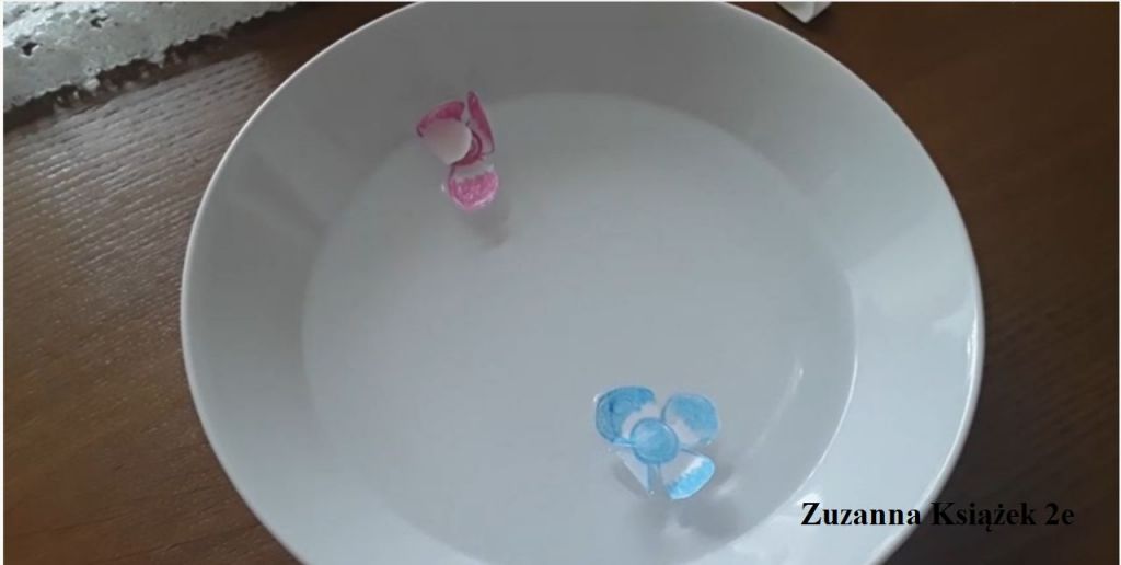 Zuzia Ksi%%C4%%85%%C5%%BCek 2e 2