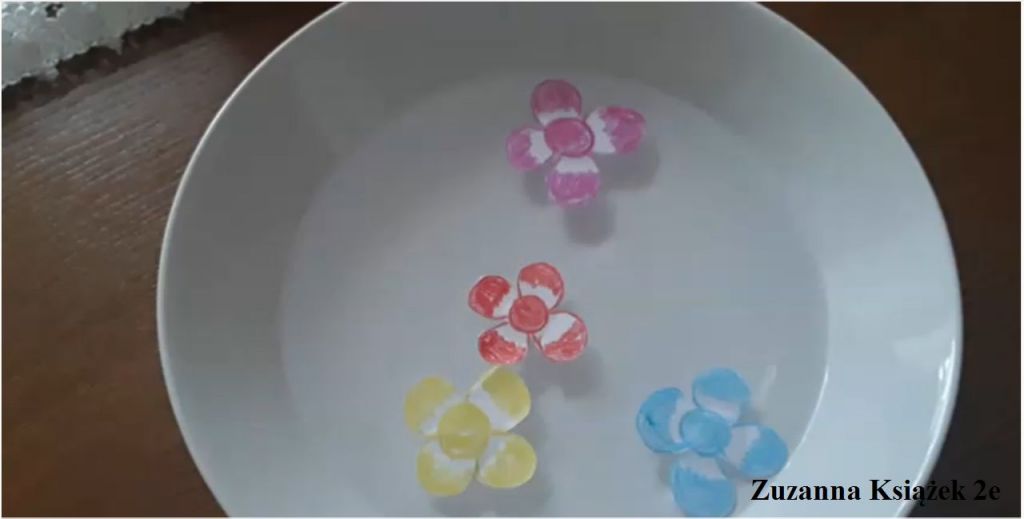 Zuzia Ksi%%C4%%85%%C5%%BCek 2e