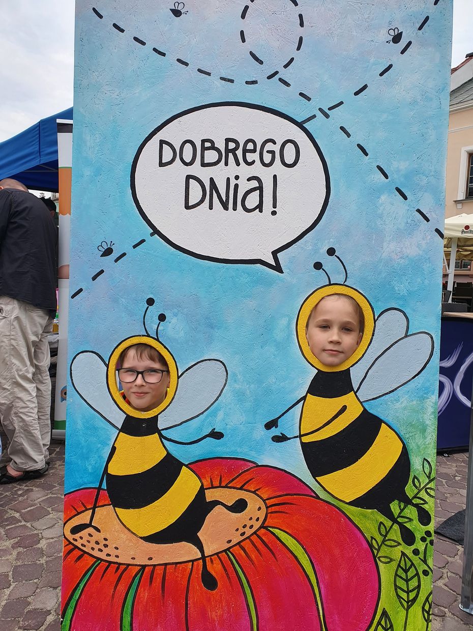 zdj (11)