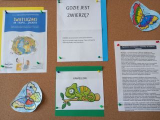 zdjęcie do artykułu: Gdzie jest zwierzę?