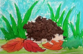 zdjęcie do artykułu: 10 listopada Międzynarodowy Dzień Jeża