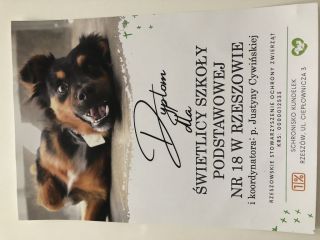 zdjęcie do artykułu: Podziękowania za zbiórkę na rzecz schroniska dla zwierząt