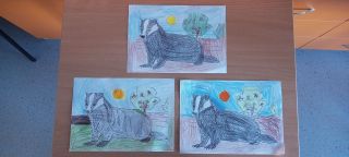 zdjęcie do artykułu: Dzień Borsuka