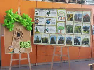 zdjęcie do artykułu: Światowy Dzień Drzewa