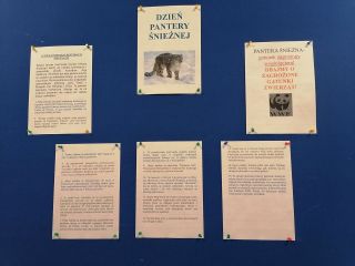 zdjęcie do artykułu: Dzień Pantery Śnieżnej