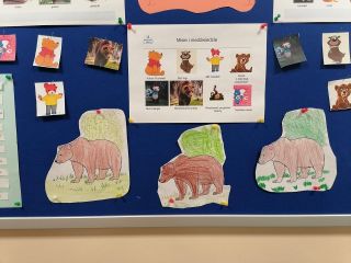 zdjęcie do artykułu: Dzień Niedźwiedzia