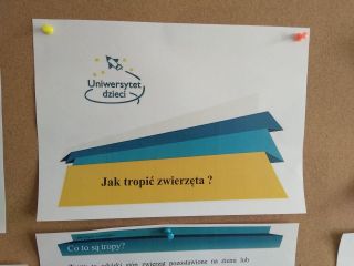 zdjęcie do artykułu: Mali detektywi. Jak tropić zwierzęta?