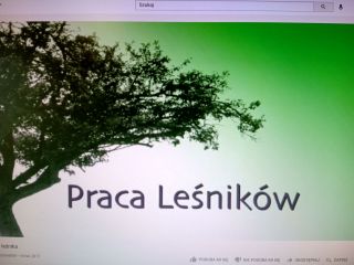 zdjęcie do artykułu: Tropiciele Moduł 2: Świetliczaki stają się obrońcami przyrody - Spotkanie z leśnikiem