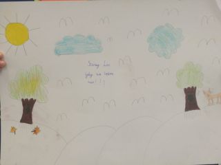 IMG_20201104_084914