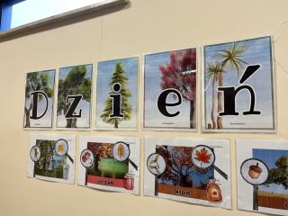 zdjęcie do artykułu: Szanuj drzewa, szanuj zieleń, bo to twoi przyjaciele