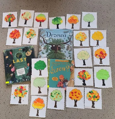 zdjęcie wprowadzające do artykułu: Światowy Dzień Drzewa